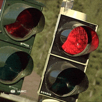 Go Red Light GIF by FIA World Rally Championship