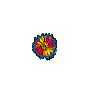 Summer Festival Sticker by Play_Polska
