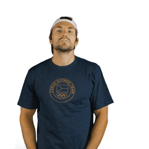Waving Czech Republic GIF by Český olympijský tým