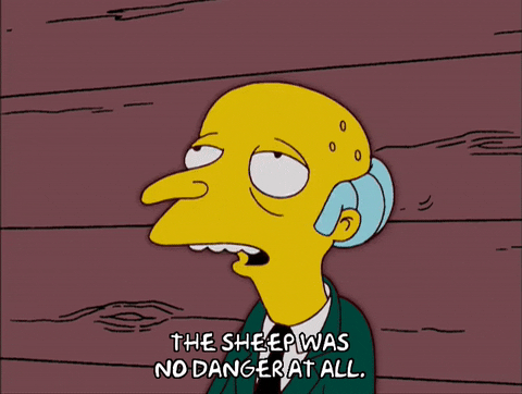 season 17 episode 13 GIF