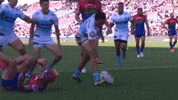 Gold Coast Titans GIF