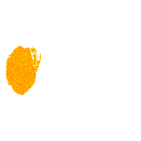 PapayaYoungDirectors papaya papayayoungdirectors papayayoungdirectors2020 pyd7 Sticker