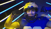 Go Blue Michigan Football GIF by Michigan Athletics