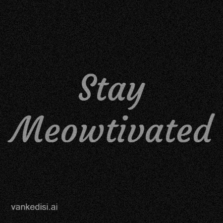 Motivate Black And White GIF by vankedisi