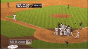 hou GIF by MLB