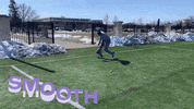 CUWBaseball cuw cuwfalcons cuwbaseball seantillmon GIF