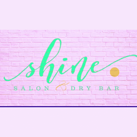 Shine Salon GIF by Shine Salon & Dry Bar