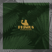 PrimusMicrocerveceria  GIF