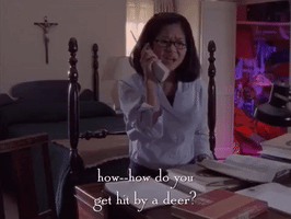 season 1 netflix GIF by Gilmore Girls 