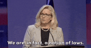Liz Cheney Gop GIF by GIPHY News
