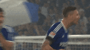 Celebration Goal GIF by FC Schalke 04