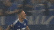 Celebration Goal GIF by FC Schalke 04