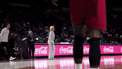 Womens Basketball Sport GIF by LSU Tigers