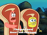 season 4 the lost mattress GIF by SpongeBob SquarePants