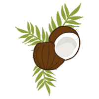 Cocktail Coconut Sticker by Blue Ivy