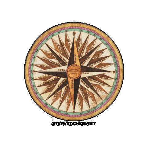 Travel Spinning Sticker by The Wild Curiosity