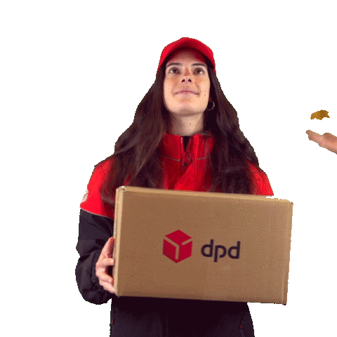 Autumn Delivery Sticker by DPD France