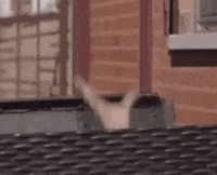 alex karpovsky ray GIF by Girls on HBO