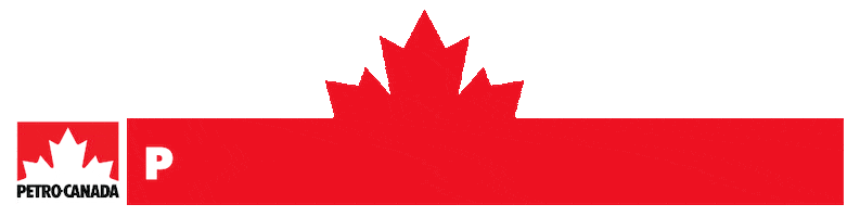Ski Athlete Sticker by PetroCanada