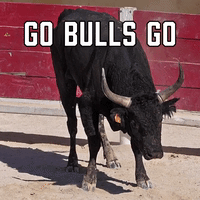 Go Bulls Go