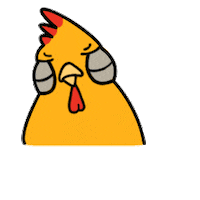 Chicken Yes Sticker
