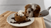 Cake Protein GIF by EZERSnacks