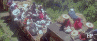 Shah Rukh Khan Bollywood GIF by TIFF