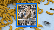 GIF by Comedy Central BR