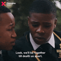 GIF by Showmax