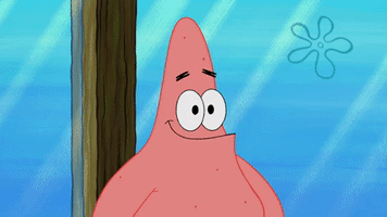 season 9 episode 13 GIF by SpongeBob SquarePants