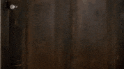 Hallo GIF by ZDF