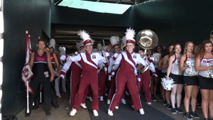 Tu GIF by Temple Owls