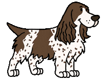 Cocker Spaniel Dog Sticker
