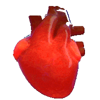 France Art Sticker by SDRNSDRN