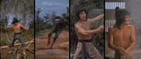 martial arts film GIF by Shaw Brothers