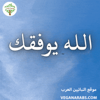 Islam Arabic Language GIF by VeganArabs