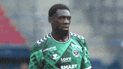 Happy Football GIF by AS Saint-Étienne