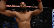 Ufc 205 Mma GIF by UFC