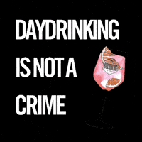 Drinks Cocktail GIF by GOLDBERG & SONS