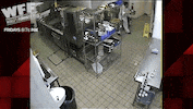 world's funniest fails GIF by Fox TV