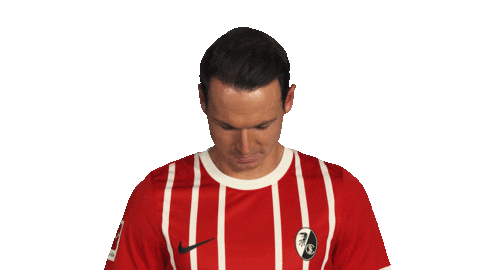 Scf Sticker by Bundesliga
