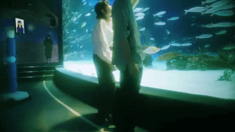 tulsimo giphygifmaker GIF