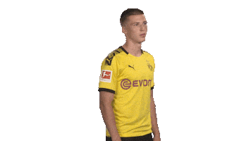 Proud Line Up Sticker by Bundesliga