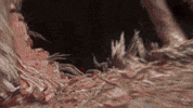 League Of Legends Demon GIF by Xbox