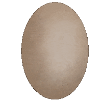 aykimkio food chicken egg eggs Sticker