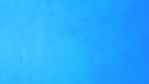 Ahdokkum GIF by Albert Heijn Dokkum