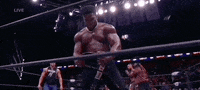 Matt Taven Wrestling GIF by AEWonTV