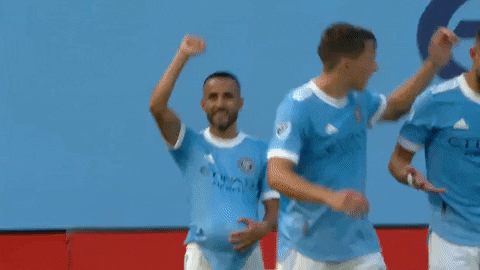 Major League Soccer Sport GIF by NYCFC