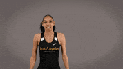 Cal State La Track GIF by Cal State LA Golden Eagles