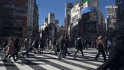 japan tokyo GIF by GAYCATION with Ellen Page and Ian Daniel